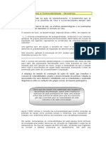 Conceitos de Risco e Vulnerabilidade PDF 32511