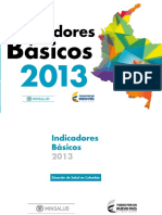 Indicadores Basicos Salud 2013 PDF