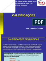 AULA 3 Calcificacoes Patologicas
