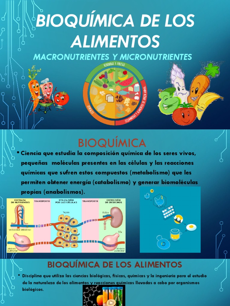 Bioquímica De Los Alimentos Macronutrientes Y