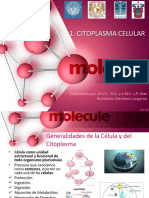 Citoplasma Celular