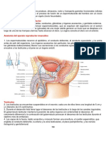 Taller de Reproductor MASCULINO Y FEMENINO Martini 2017 Bioingenieria