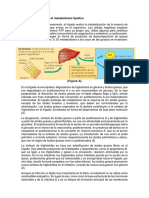 Fisiologia Sem 2-p3