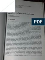 51 - Resíduos Industriais e Agrícolas.pdf