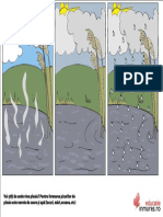 ploaie_formare_color.pdf