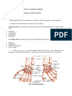 Proiect Proteza