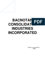 Bacnotan Consolidated Industries Incorporated New