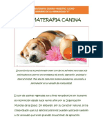Aromaterapia Canina