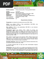 CERTIFICADO DE HONORABILIDAD