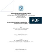 Kolb-Disyuntivas Corporales. Hacia Una Teoría Totonaca de La Diabetes en Ixtepec