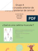 Cadena cruzada anterior tronco y posterior cervical (T1