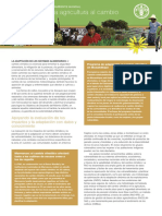 Adaptación de la Agricultura al Cambio Climático - FAO.pdf
