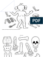 Sistema óseo y sus partes