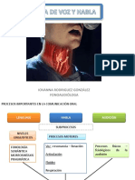 Diseo y Estrategias de Adecuaciones Curriculares Unidad 2