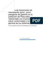 Ensayo-Fuentes de transmisión de helicobacter pylori  como patogenia de gastritis en la población de Pascuales, relacionado con el proceso salud- enfermedad y la teoría general de los sistemas..docx
