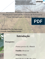 Apresentação Defesa.pdf