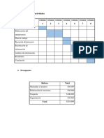 Cronograma de Actividades NIIF