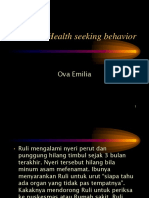 Health_seeking_behaviorMMR.pdf