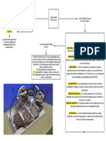 Mapa Conceptual ABP FISICA 1 - Quad Marble Machine - BIOLOGIA MARINA PRIMER SEMESTRE PDF