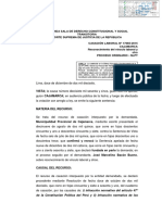Casacion130207-3.pdf