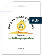 PROJETO FORMAS DA NATUREZA.docx