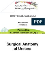 Tentiran - Khori Halimah - , Ureteral Calculi