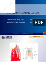 Sistem Peredaran Darah