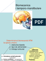 A5 Biomecanica ATM