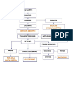 Biodiesel Biji Jarak