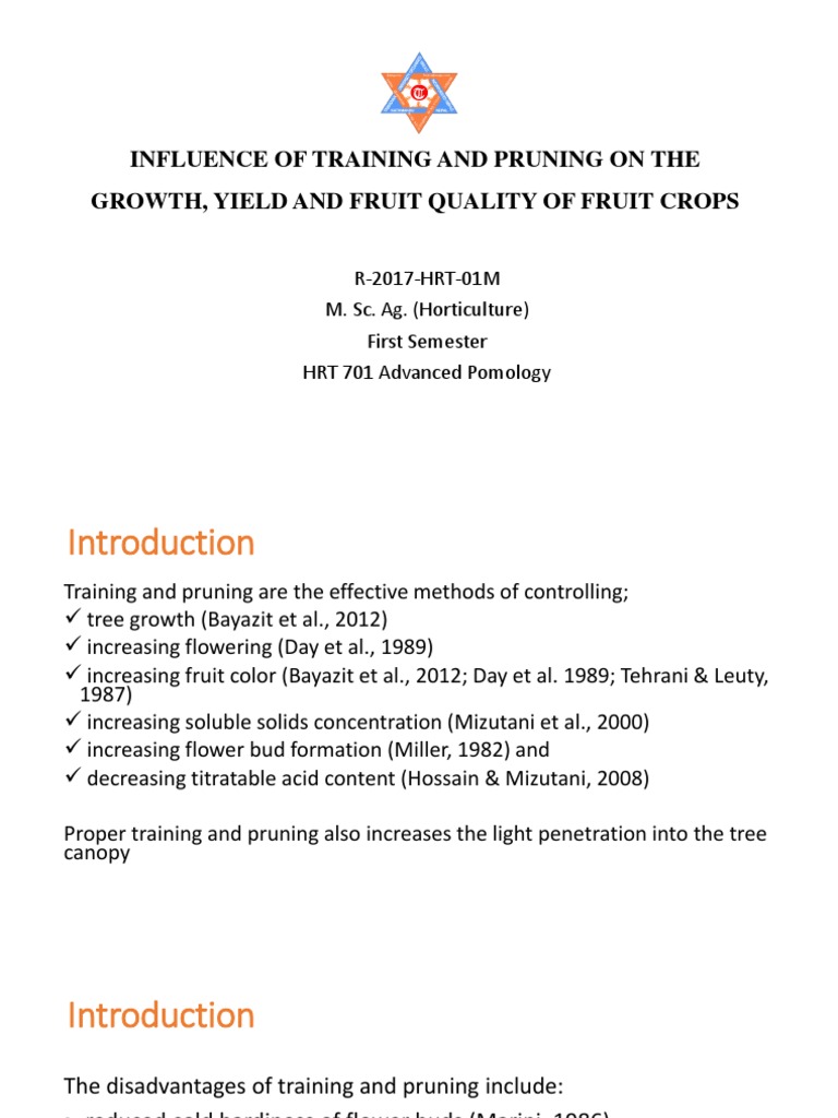 Influence of Training and Pruning On The Growth, Yield and Fruit ...