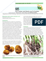 Michigan Potato Diseases - Rhizoctonia Stem Canker and Black Scurf of Potato (E2994)