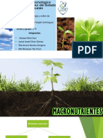 Macronutrientes PDF