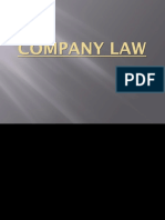 Company Law PPT With Effects