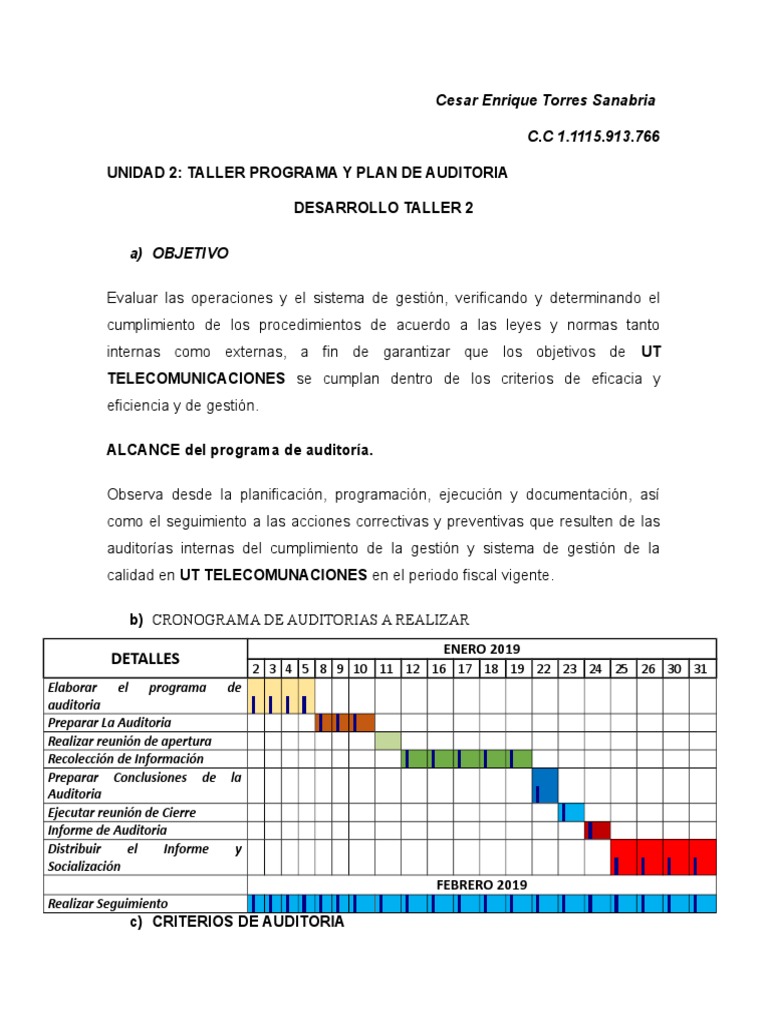 Programa y Plan de Auditoría 2019 | PDF | Auditoría | Contralor