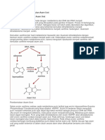 Metabolisme_purin_asam_urat.docx