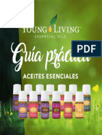 Guia Aceites PDF