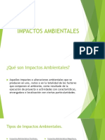 Impactos Ambientales