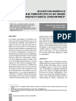 Descripcion Anatonica Especies Forestales - Revista Colombia Forestal
