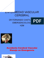 Enfermedad Vascular Cerebral