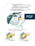 8.4_pancreatita_cronica-continuare.pdf