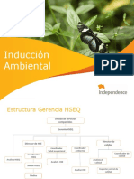 Induccion Ambiental 2013