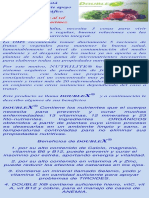 Doble X PMPW PDF