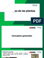 Plagas de Las Plantas MINAGRI Feb19 PDF