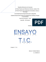 Ensayo Tic PDF