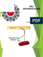 CURS NEUROMUSCULAR.pdf