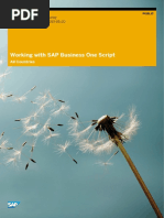 Working With SAP Business One Script: All Countries