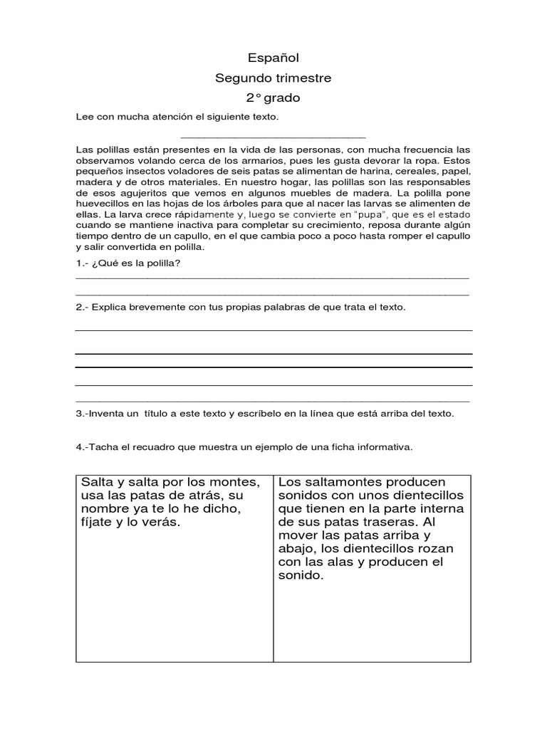 Examen Español 2do Trim PDF León Lepidópteros
