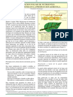Aplicación+foliar+de+nutrientes.pdf