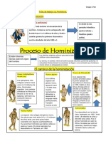 Ficha Hominización