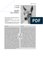 VicuniaAndes PDF